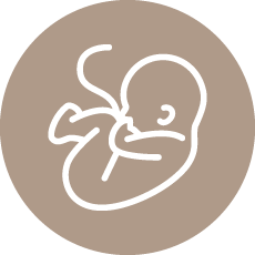 El feto es un paciente