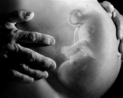 Del quinto al noveno mes de nacimiento